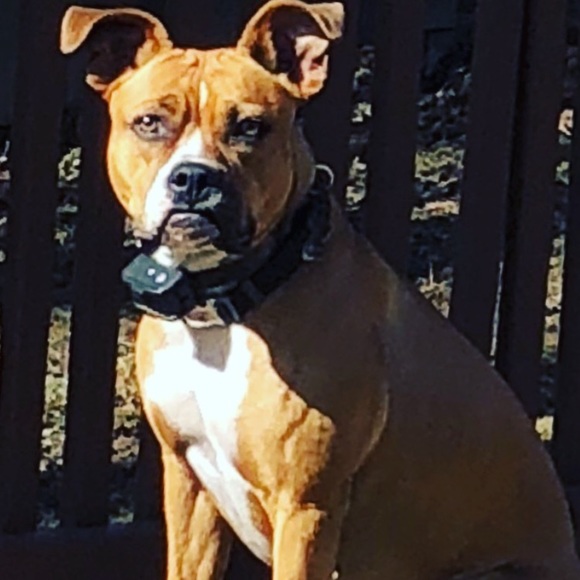 Meet your Posher, Meghan - Picture 1 of 1